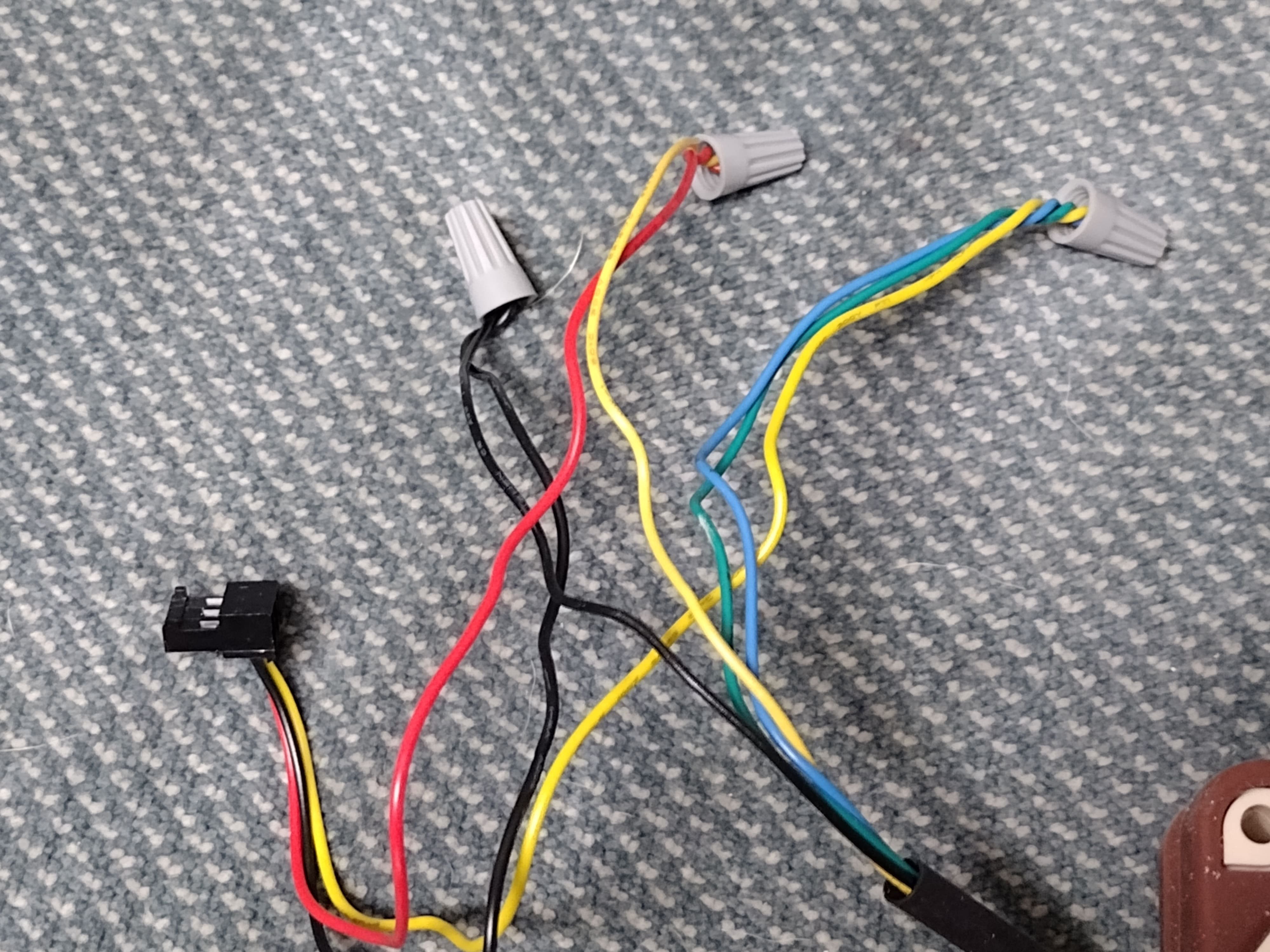 IMG_20240817_144537846 IMG_20240817_144537846